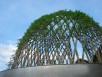 Une gloriette d'osier tressé vivant en bacs pour la terrasse