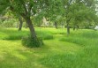 Simples allées tondues dans la prairie : un labyrinthe mouvant dans le verger