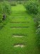 Jeu perspectif pour cette petite allée de pas de bois enherbés