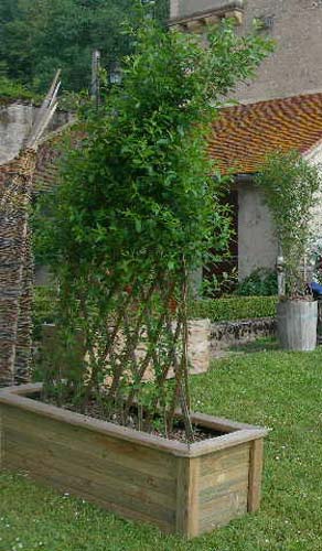Haie En Bois Tresse : Pin Osier Tress? Cl?ture Sans Obturer on Pinterest Haie En Bois Tresse : Pin Osier Tress? Cl?ture Sans Obturer on Pinterest