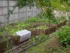 Les bordures d'osier tressé sur ossature métallique permettent la délimitation temporaire de carrés de potager