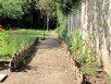 Tressage d'osier souligant la perspective d'une simple allée